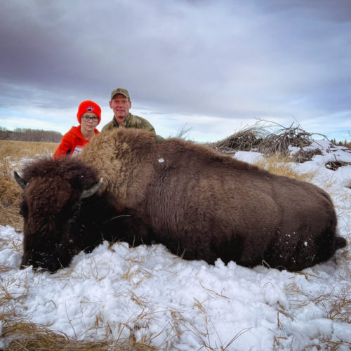 Bison Hunts Alberta Hunting Company